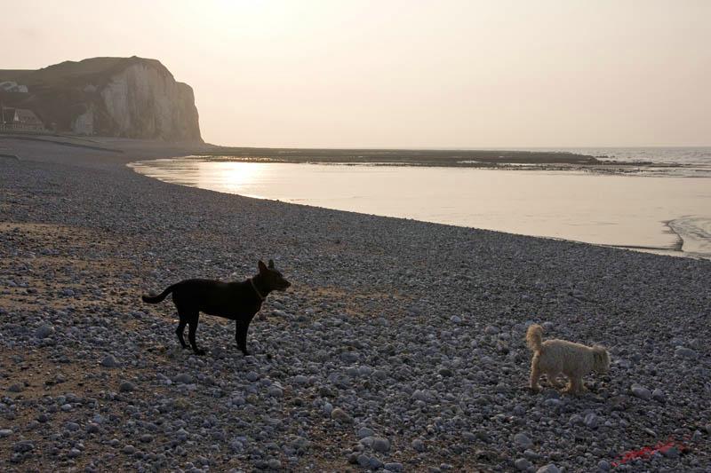 Cjp_2010_04_14_173126 (2).jpg